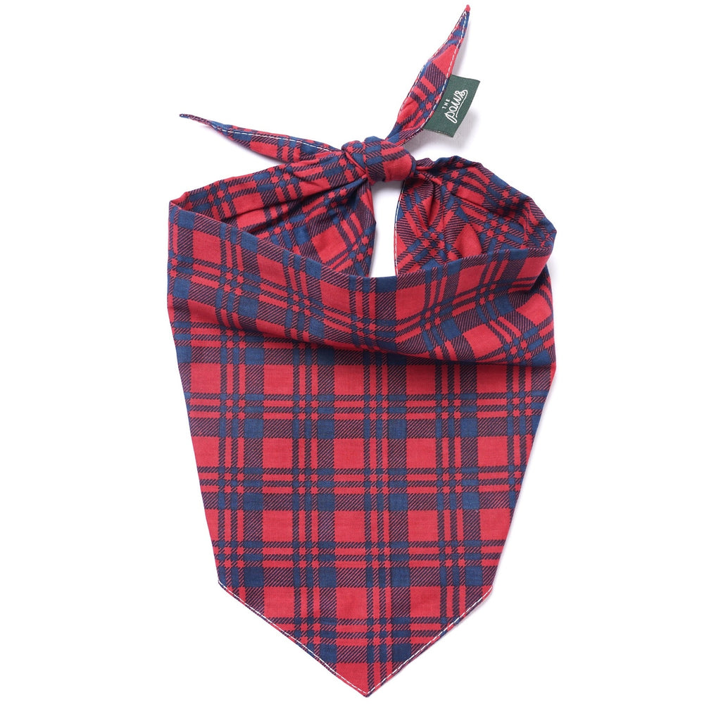 The Paws stylish dog bandana Singapore - pet neck scarf by Petizen - features