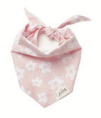 The Paws Dog Bandana