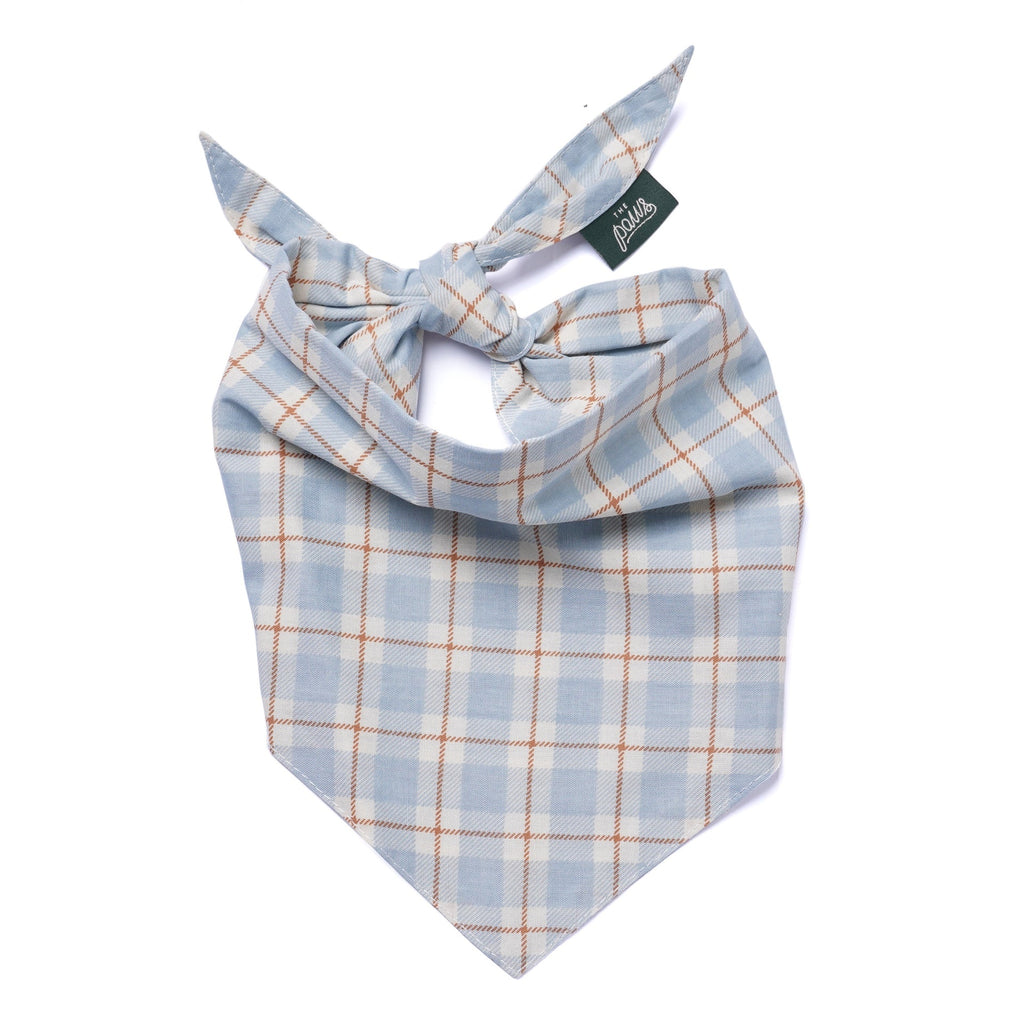 The Paws stylish dog bandana Singapore - pet neck scarf by Petizen - size comparison