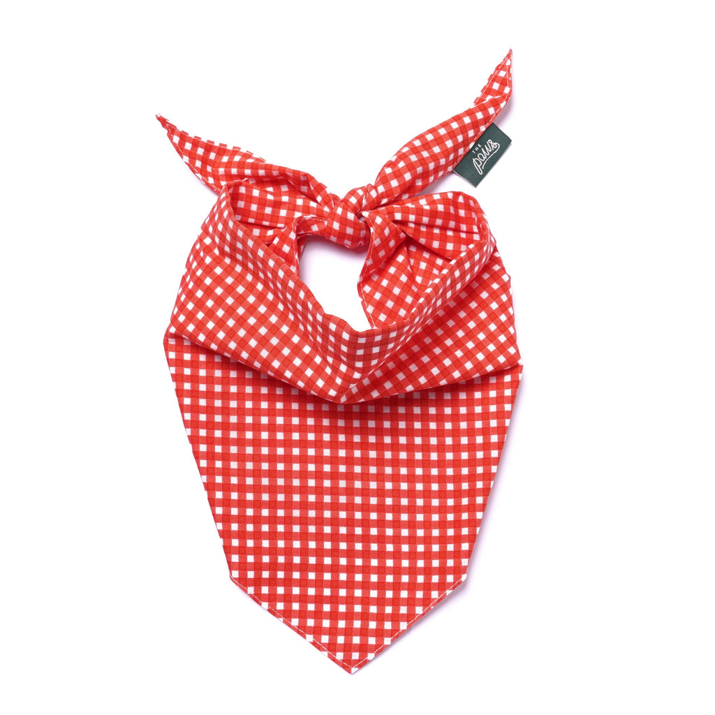 The Paws Dog Bandana