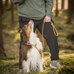Woolly Wolf Retriever Leash Wood Brown