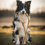 Woolly Wolf Retriever Leash Wood Brown