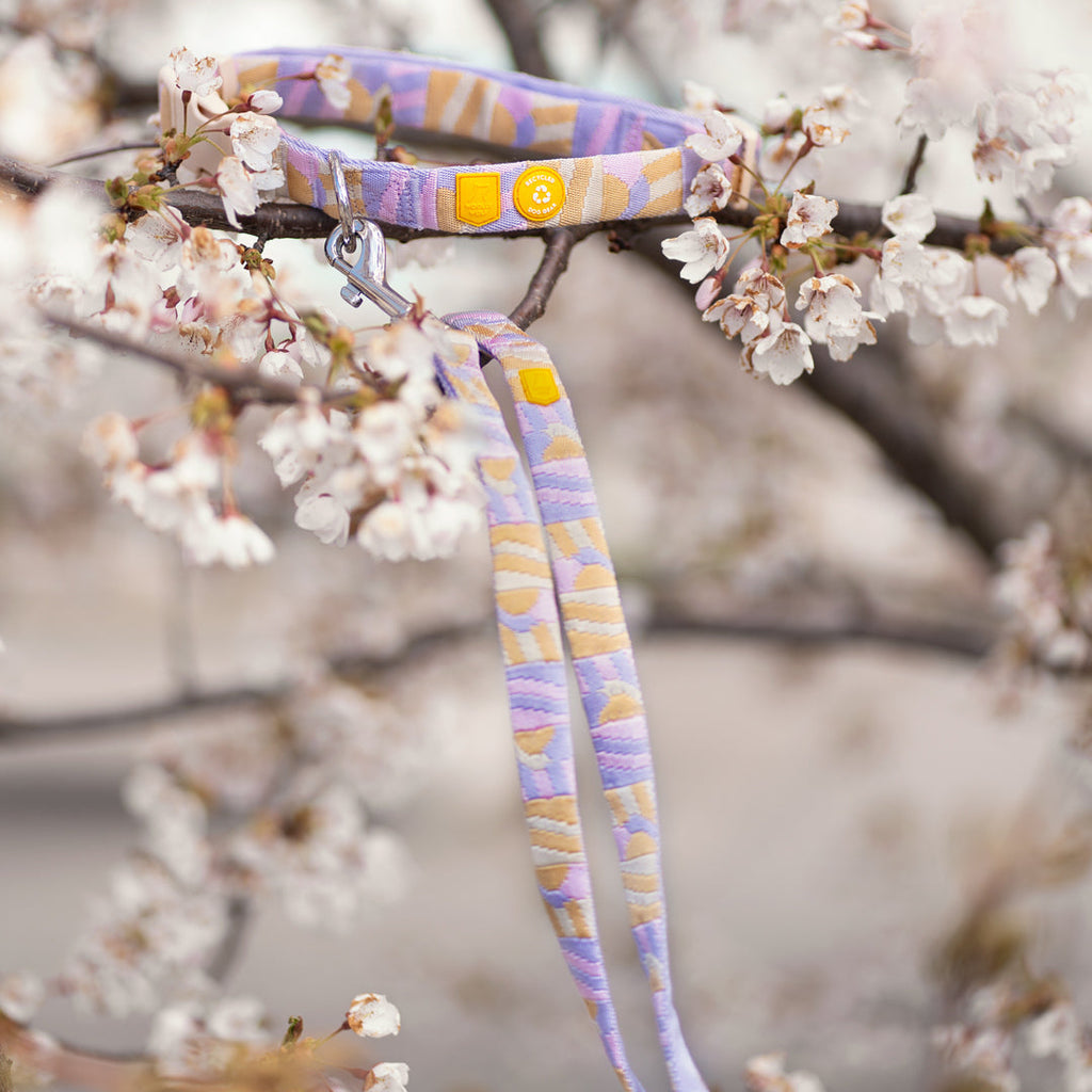 Woolly Wolf Sunshower Dog Leash