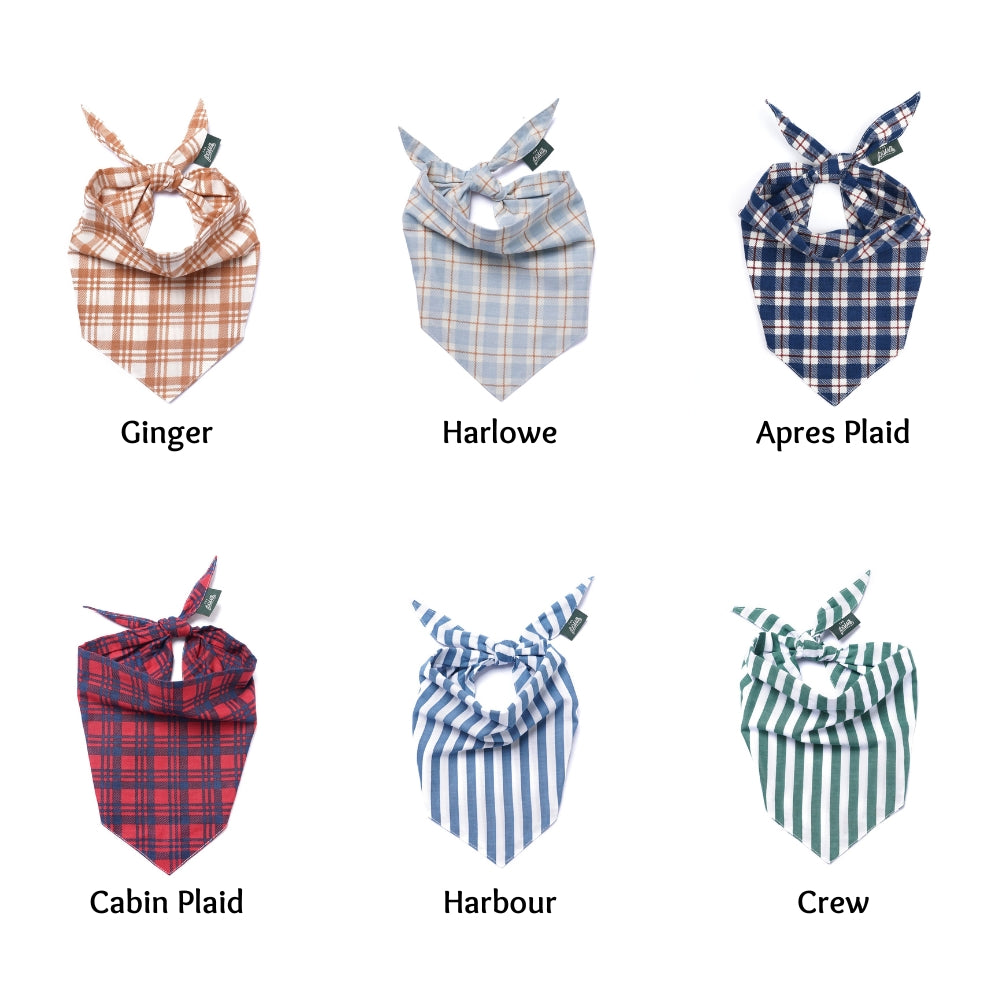 The Paws Dog Bandana