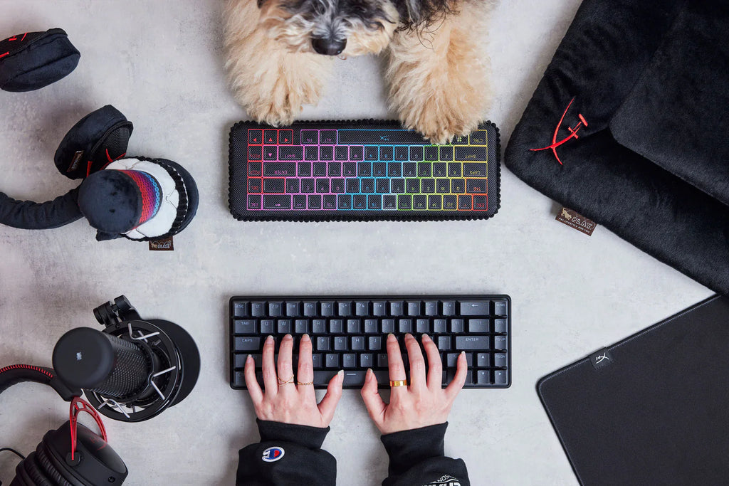 P.L.A.Y. x HyperX Keyboard gaming dog plush toy Singapore - side view