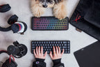 P.L.A.Y. x HyperX Keyboard gaming dog plush toy Singapore - side view