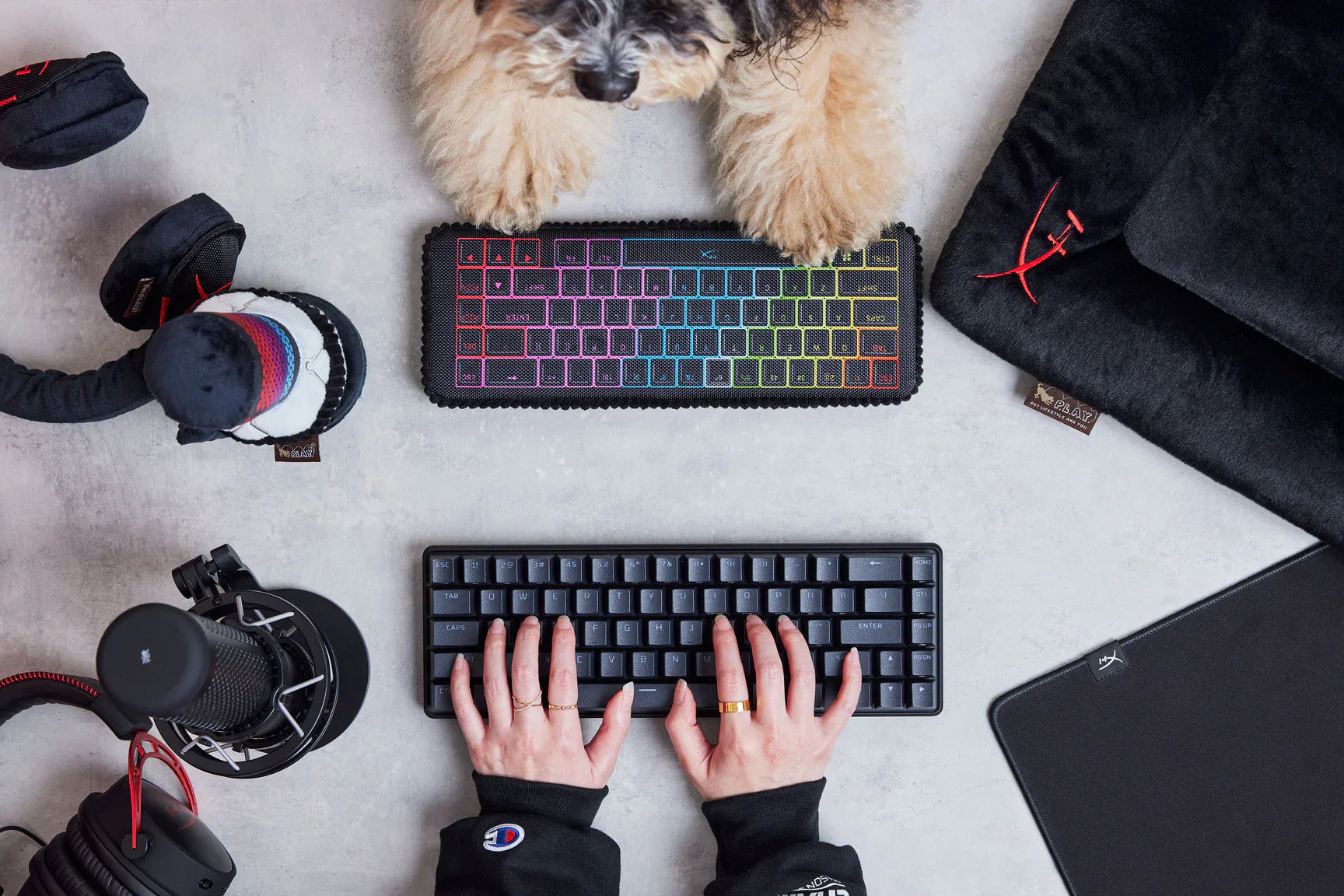 P.L.A.Y. x HyperX Keyboard gaming dog plush toy Singapore - side view