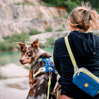 Woolly Wolf Alpha 360 Dog Harness Deep Teal