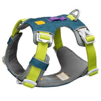 Woolly Wolf - Harness & Leash for Dogs