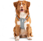 Woolly Wolf Alpha 360 Dog Harness Glacier Green Mix