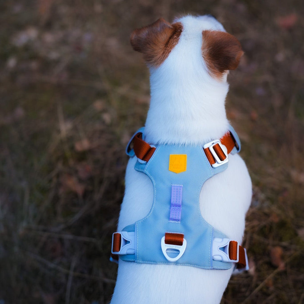 Woolly Wolf Alpha 360 Dog Harness Glacier Green Mix