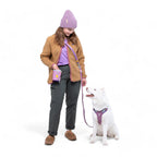 Woolly Wolf Alpha 360 Dog Harness Mauve Mix