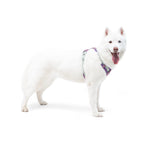 Woolly Wolf Alpha 360 Dog Harness Mauve Mix