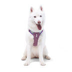 Woolly Wolf Alpha 360 Dog Harness Mauve Mix