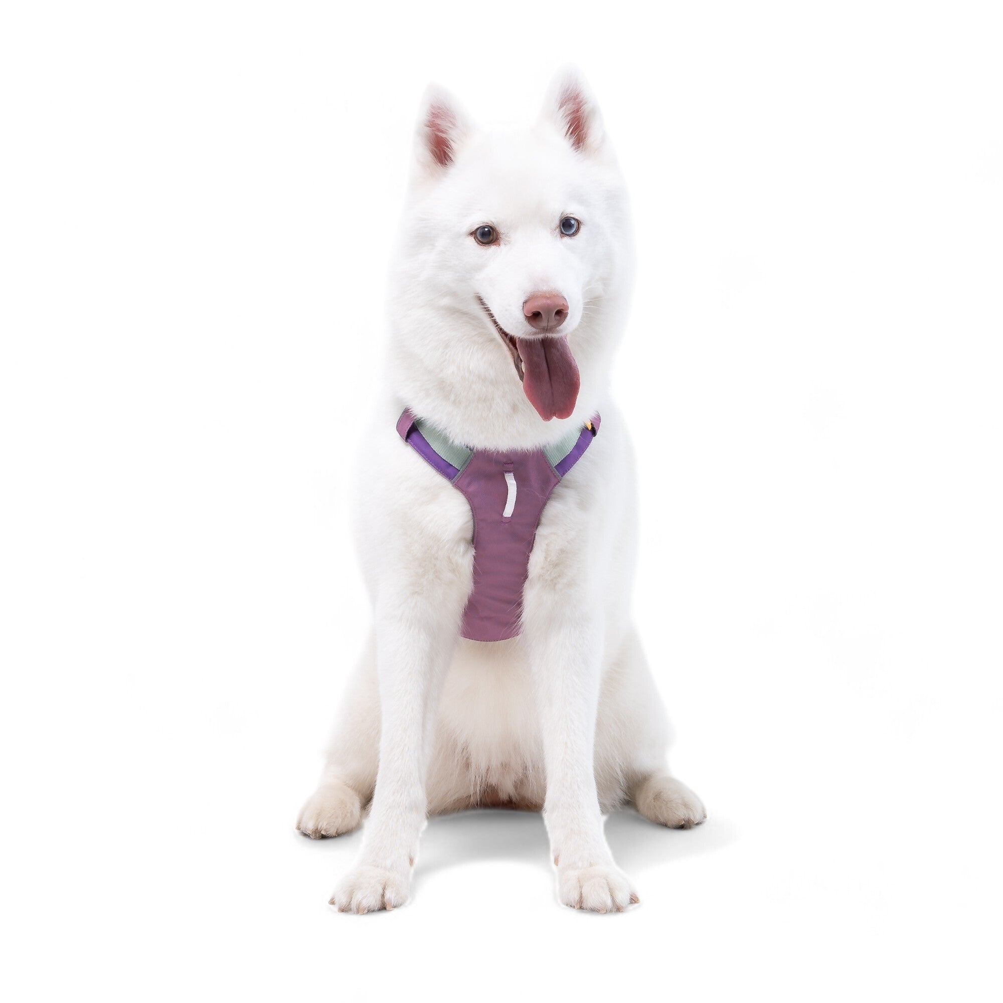 Woolly Wolf Alpha 360 Dog Harness Mauve Mix