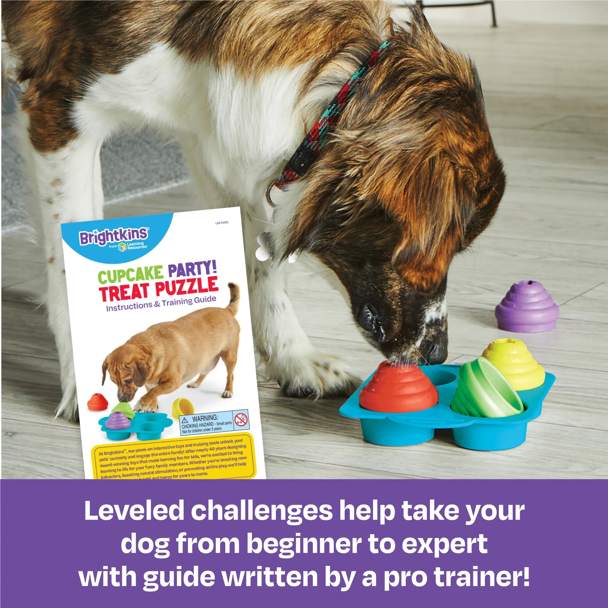 Cupcake Party dog treat puzzle enrichment toy Singapore by Brightkins - lifestyle