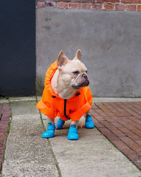 Dog Boots - WagWellies™ Mojave (1 pair of 2)