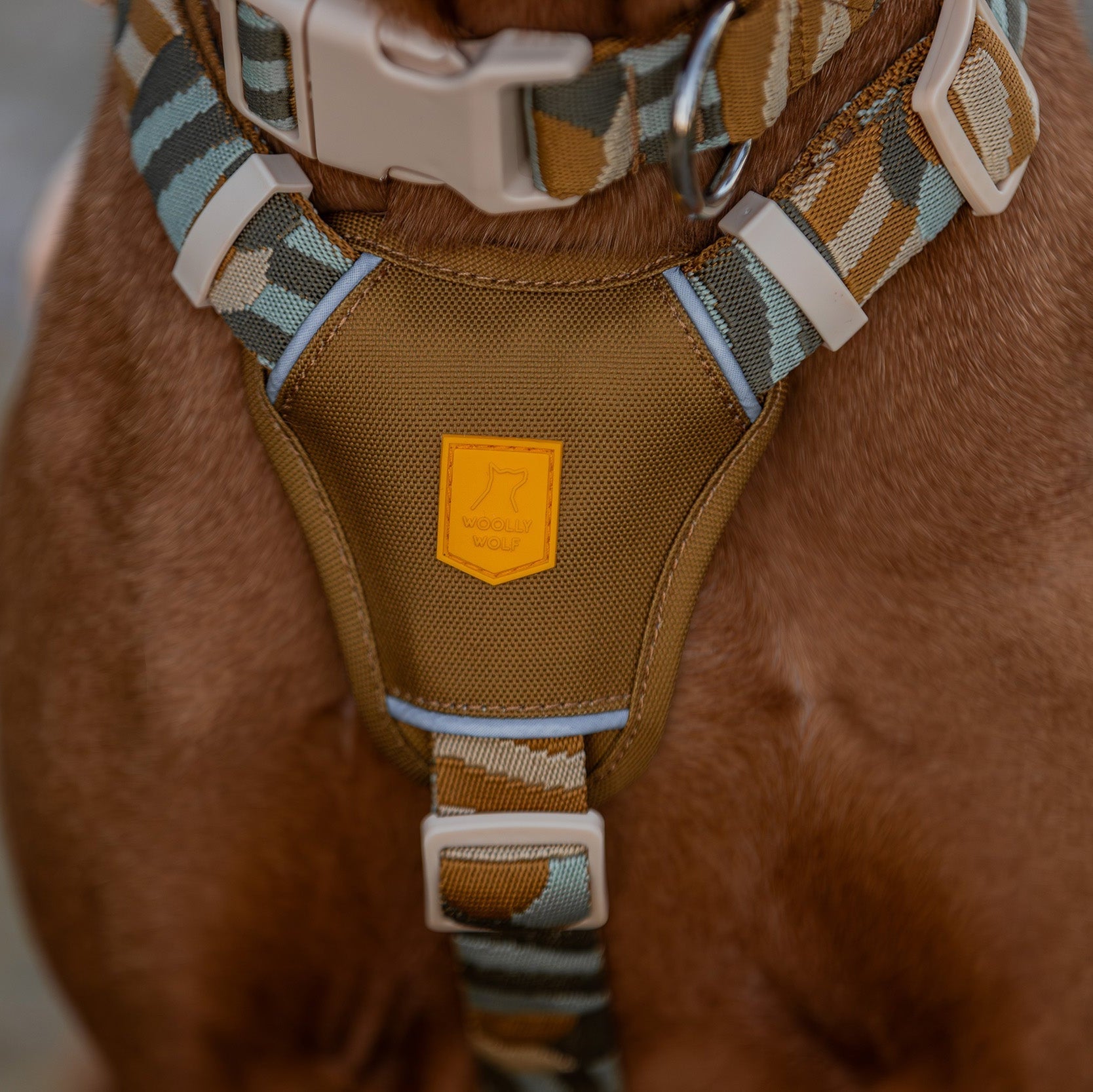 Woolly Wolf Cloudbeam Dog Harness