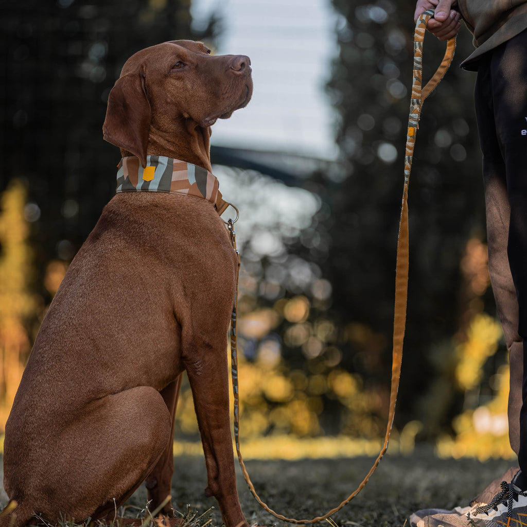 Woolly Wolf Cloudbeam Dog Leash
