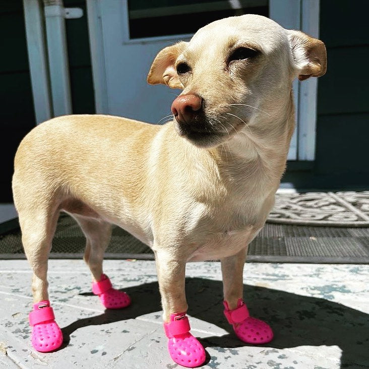 Wagwear WagWellies Mojave dog boots Singapore - protective paw boots for hot ground - features