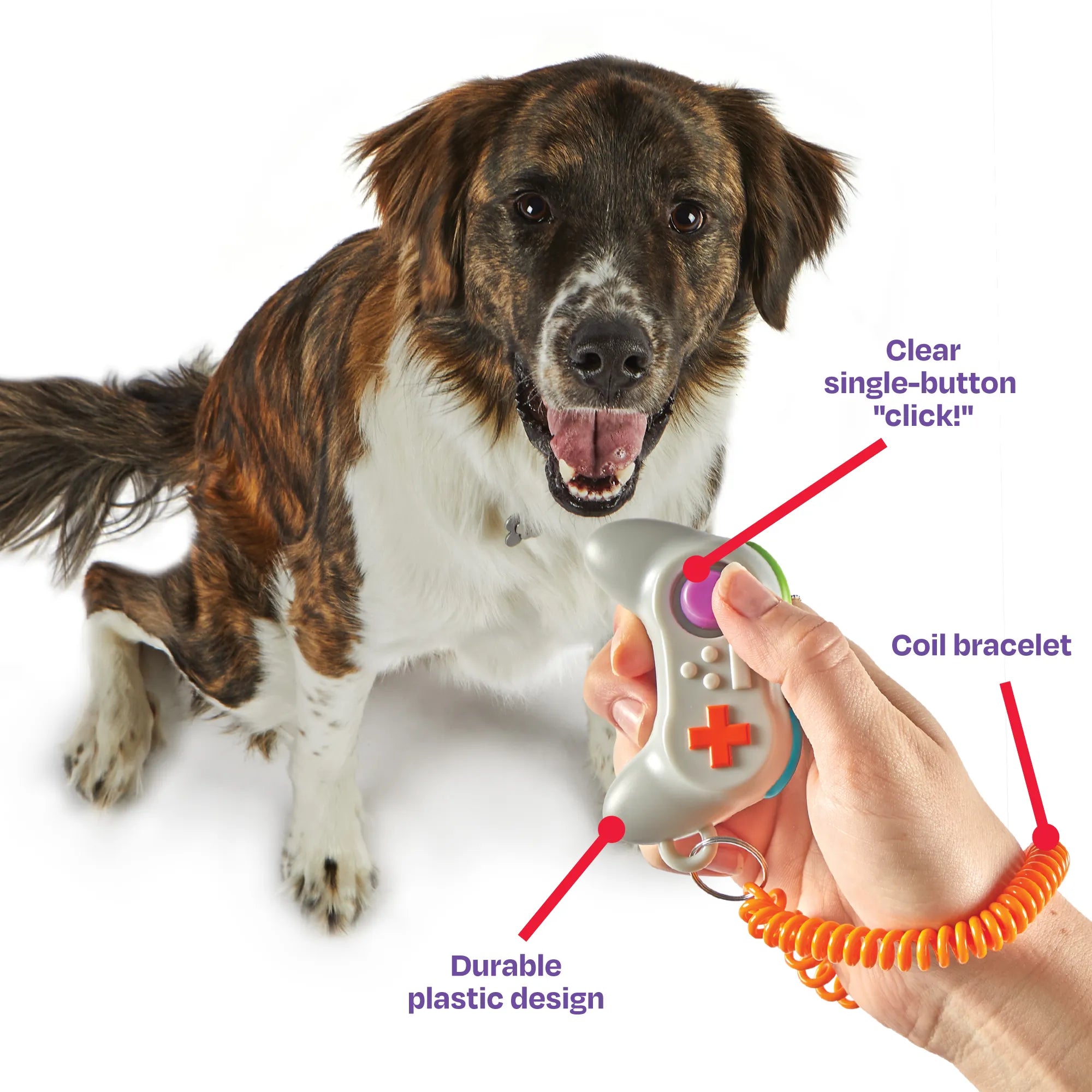 Smarty Pooch dog training clicker Singapore - obedience training tool - colour options