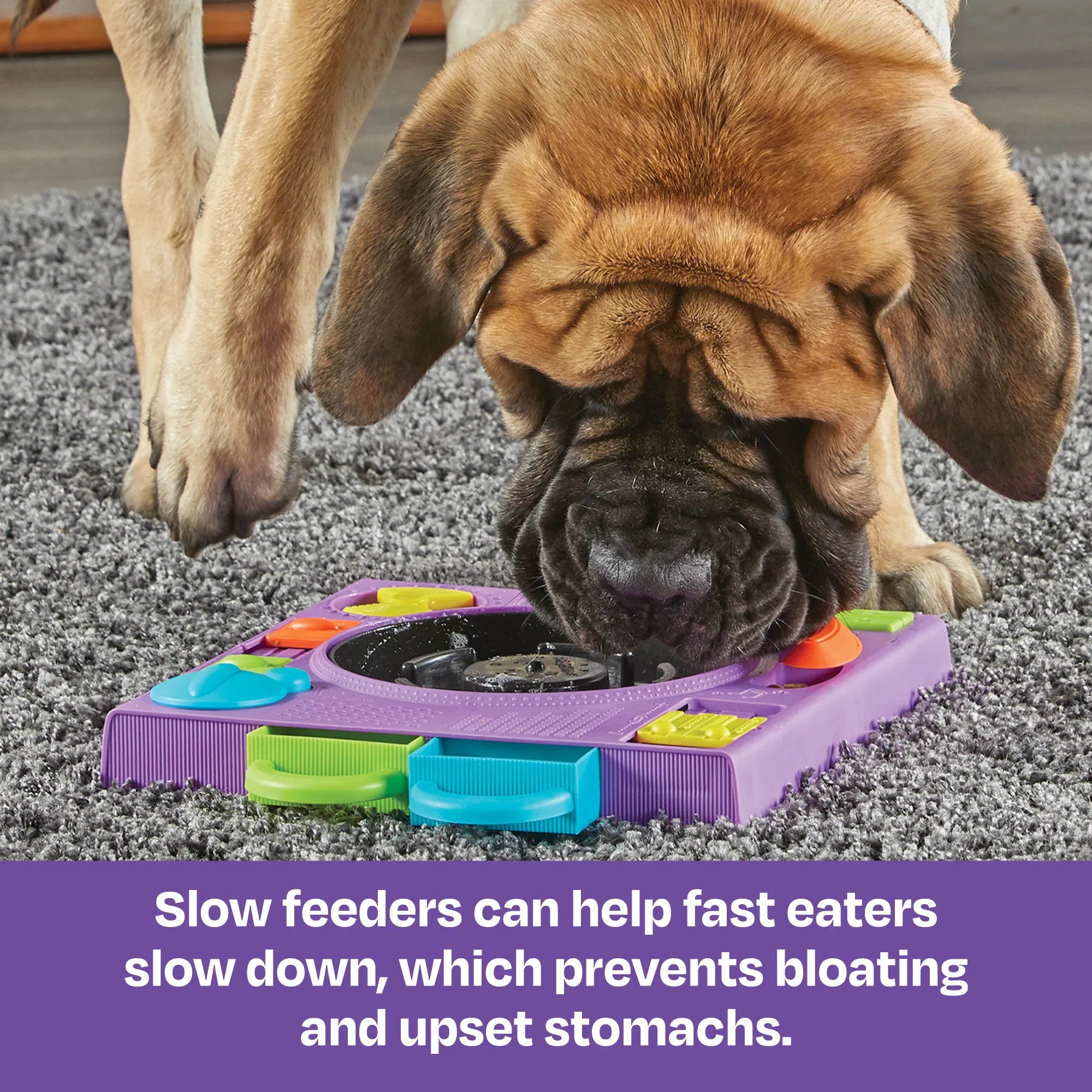 DJ Doggo dog puzzle feeder enrichment toy Singapore by Brightkins - lifestyle