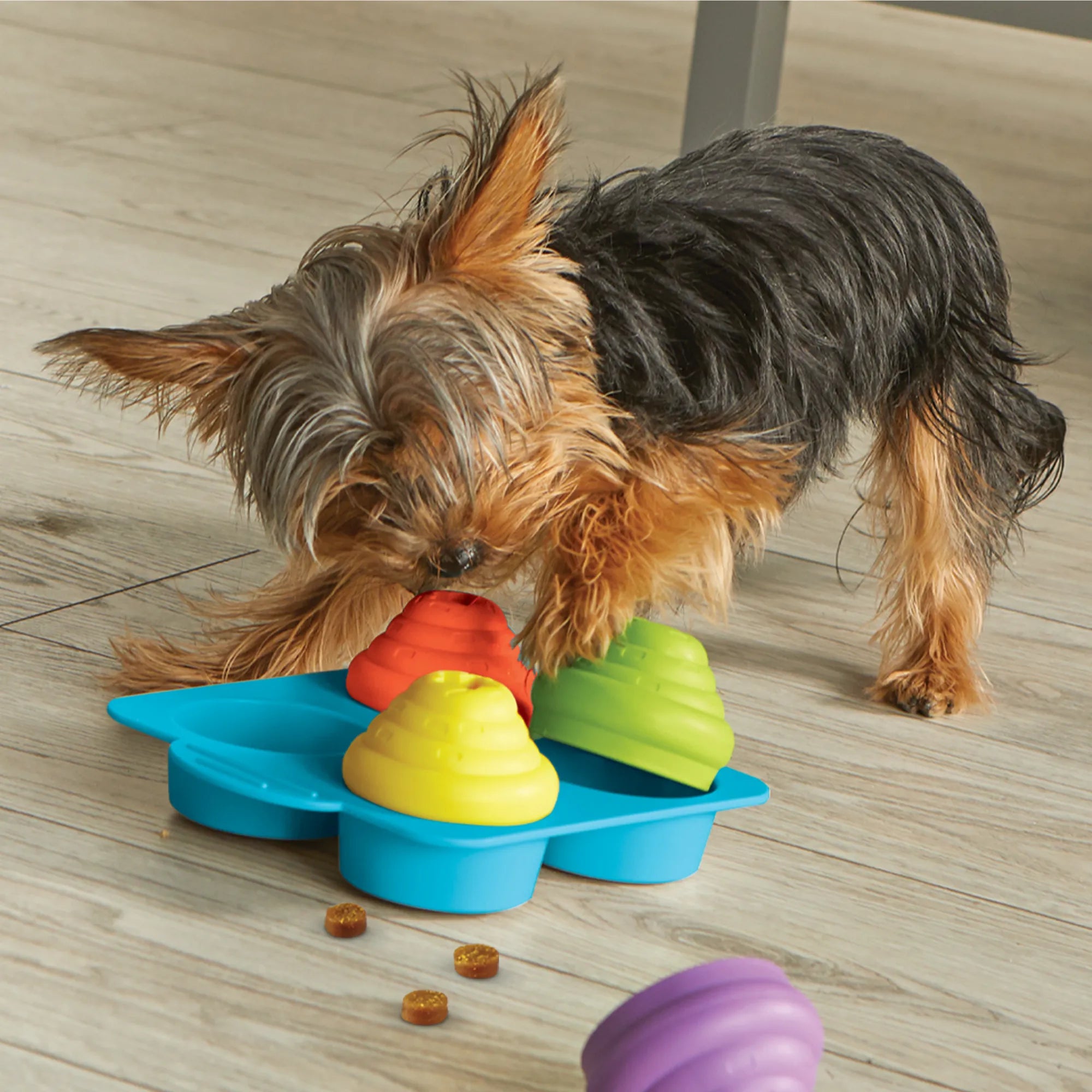 Cupcake Party dog treat puzzle enrichment toy Singapore by Brightkins - detail view