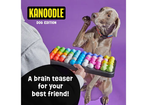 Kanoodle Dog Edition Large - Treat Puzzle