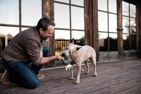 Howling Haunts Collection - Petisan