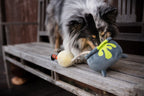 P.L.A.Y. Howling Haunts Halloween dog plush toy collection Singapore - detail view