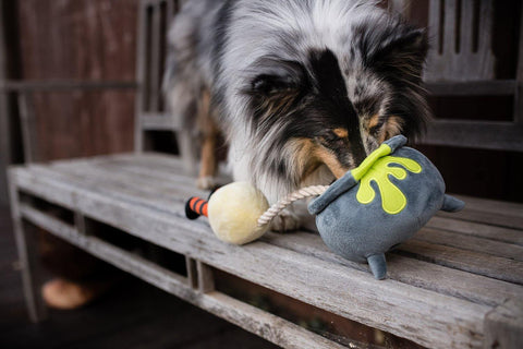 Howling Haunts Collection - Petisan