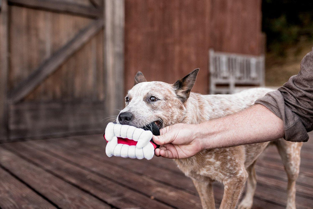 P.L.A.Y. Howling Haunts Halloween dog plush toy collection Singapore - lifestyle