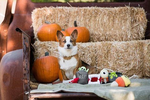 Howling Haunts Collection - Petisan