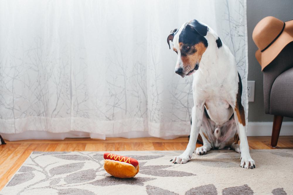 Dog Plush Toy - American Classic Collection