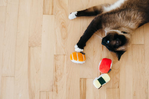 P.L.A.Y. Feline Frenzy Food cat toy collection Singapore - side view
