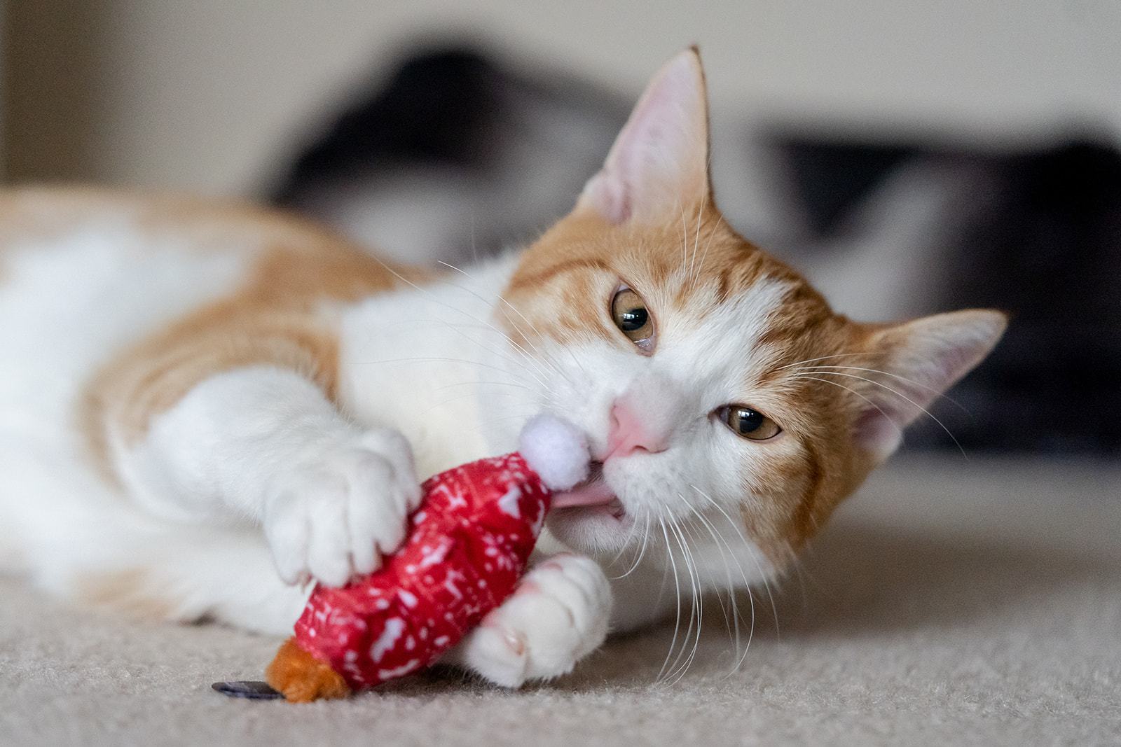 P.L.A.Y. Feline Frenzy Holiday cat toy collection Singapore - side view