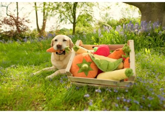 P.L.A.Y. Garden Fresh dog plush toy collection Singapore - in use