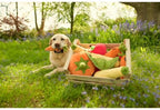 P.L.A.Y. Garden Fresh dog plush toy collection Singapore - in use