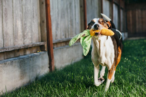 Dog Plush Toy - Farm Fresh Collection