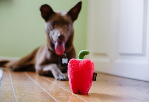 Dog Plush Toy - Farm Fresh Collection