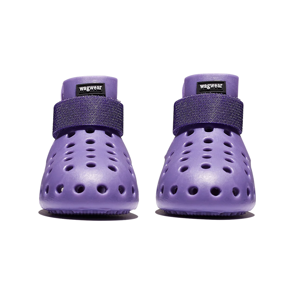 Wagwear WagWellies Mojave dog boots Singapore - protective paw boots for hot ground - lifestyle