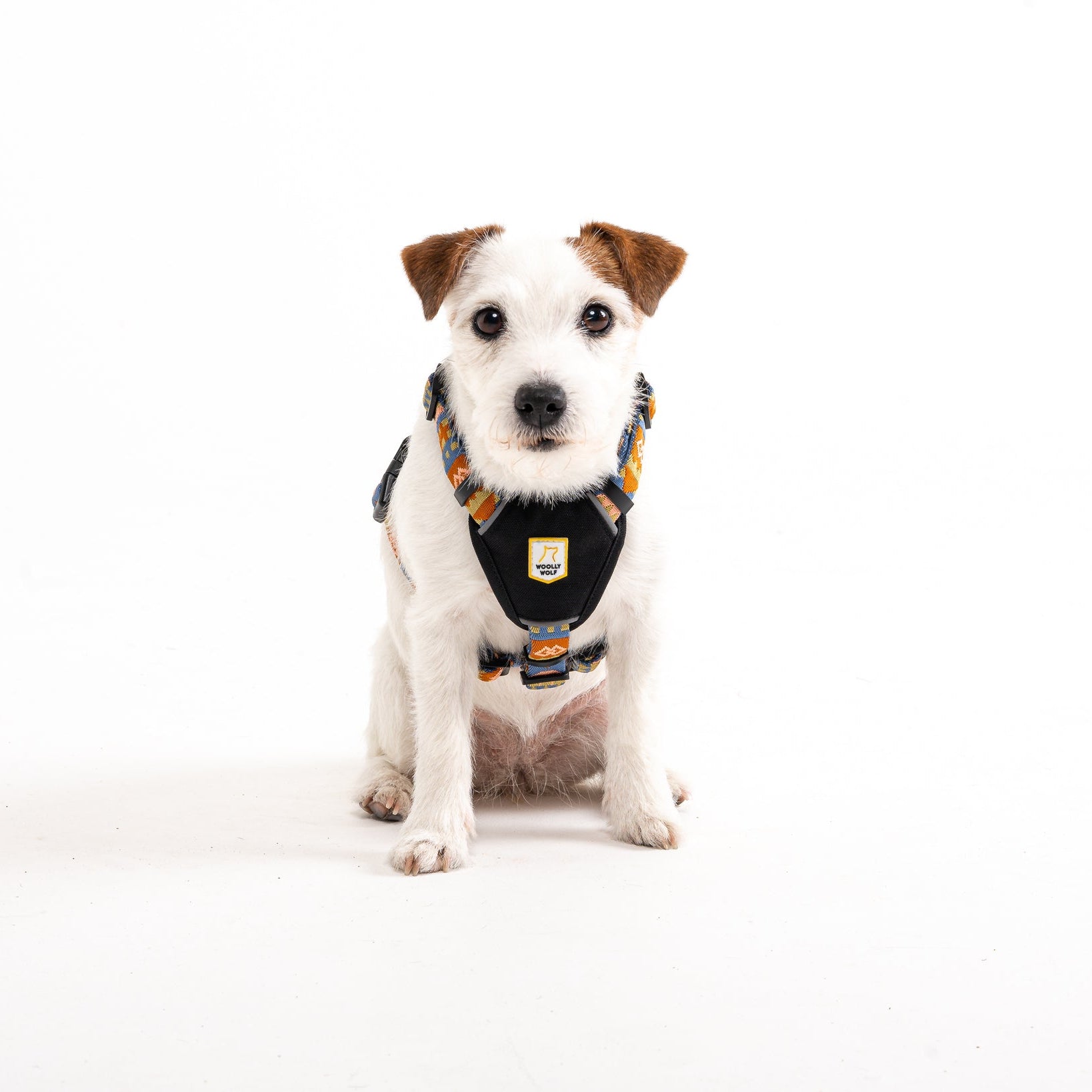 Woolly Wolf Nightless Night Dog Harness