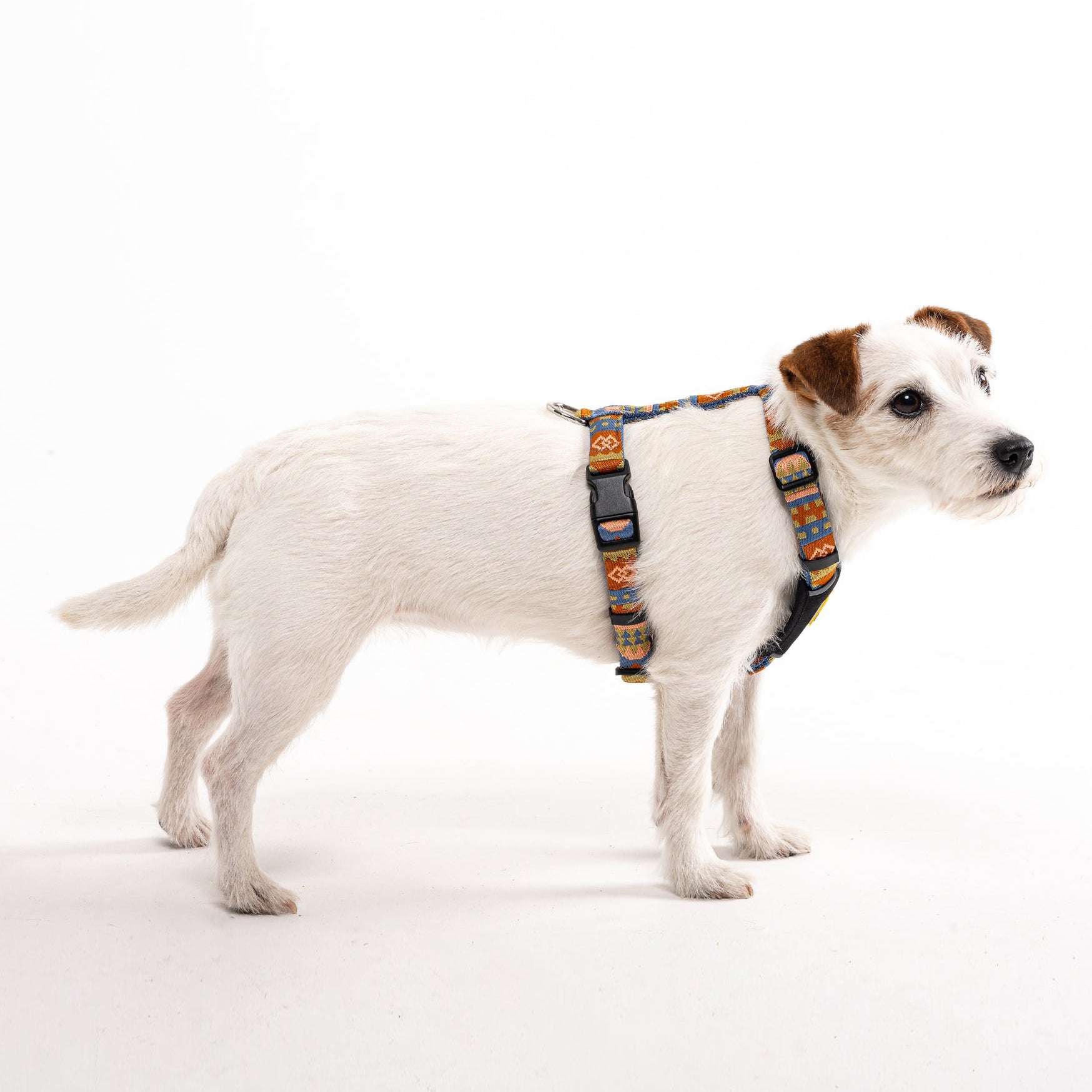 Woolly Wolf Nightless Night Dog Harness