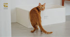 Cozy - Cat Litter Box