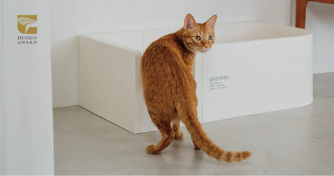 Cozy - Cat Litter Box