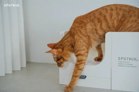 Cozy - Cat Litter Box