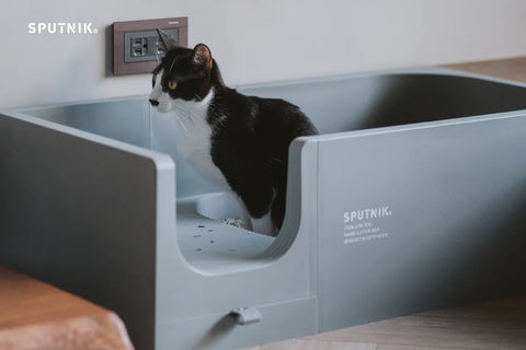 Cozy - Cat Litter Box