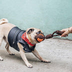 Dog tug ball rope interactive toy Singapore - tug of war toy by Petizen - side view