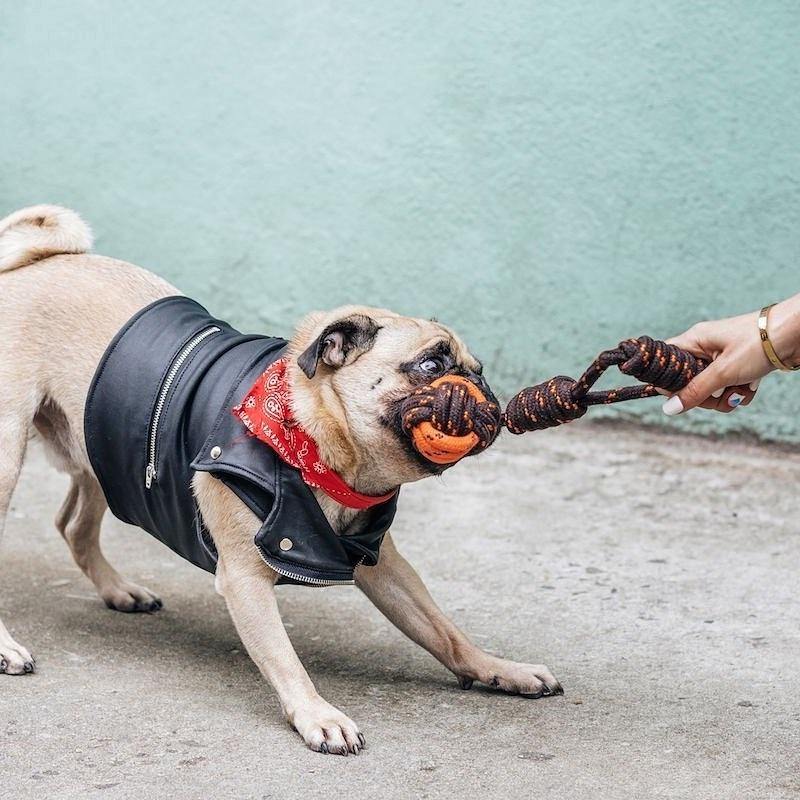 Dog tug ball rope interactive toy Singapore - tug of war toy by Petizen - side view