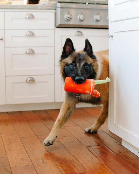 Barking Brunch Collection - Petisan